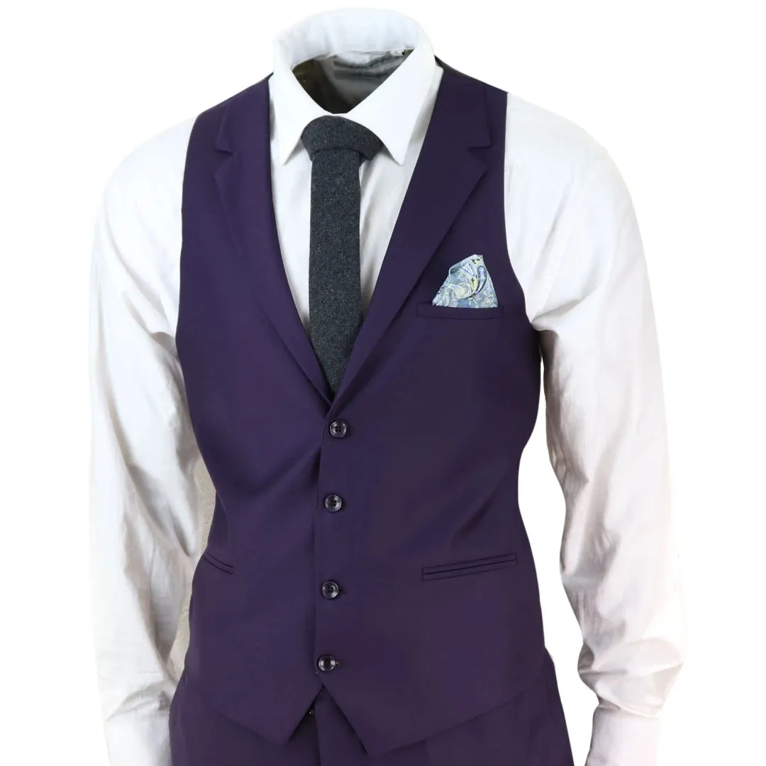 469 - Men's 3 Piece Suit Plum Formal 1920s Classic Gatsby