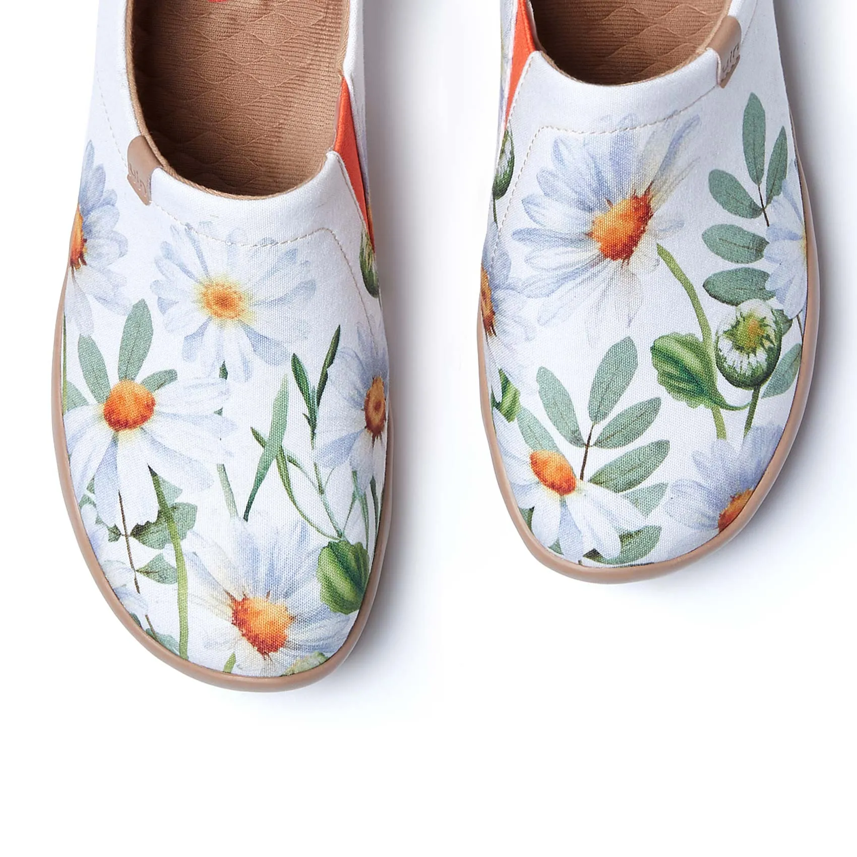 Elegant Daisies Toledo I Women