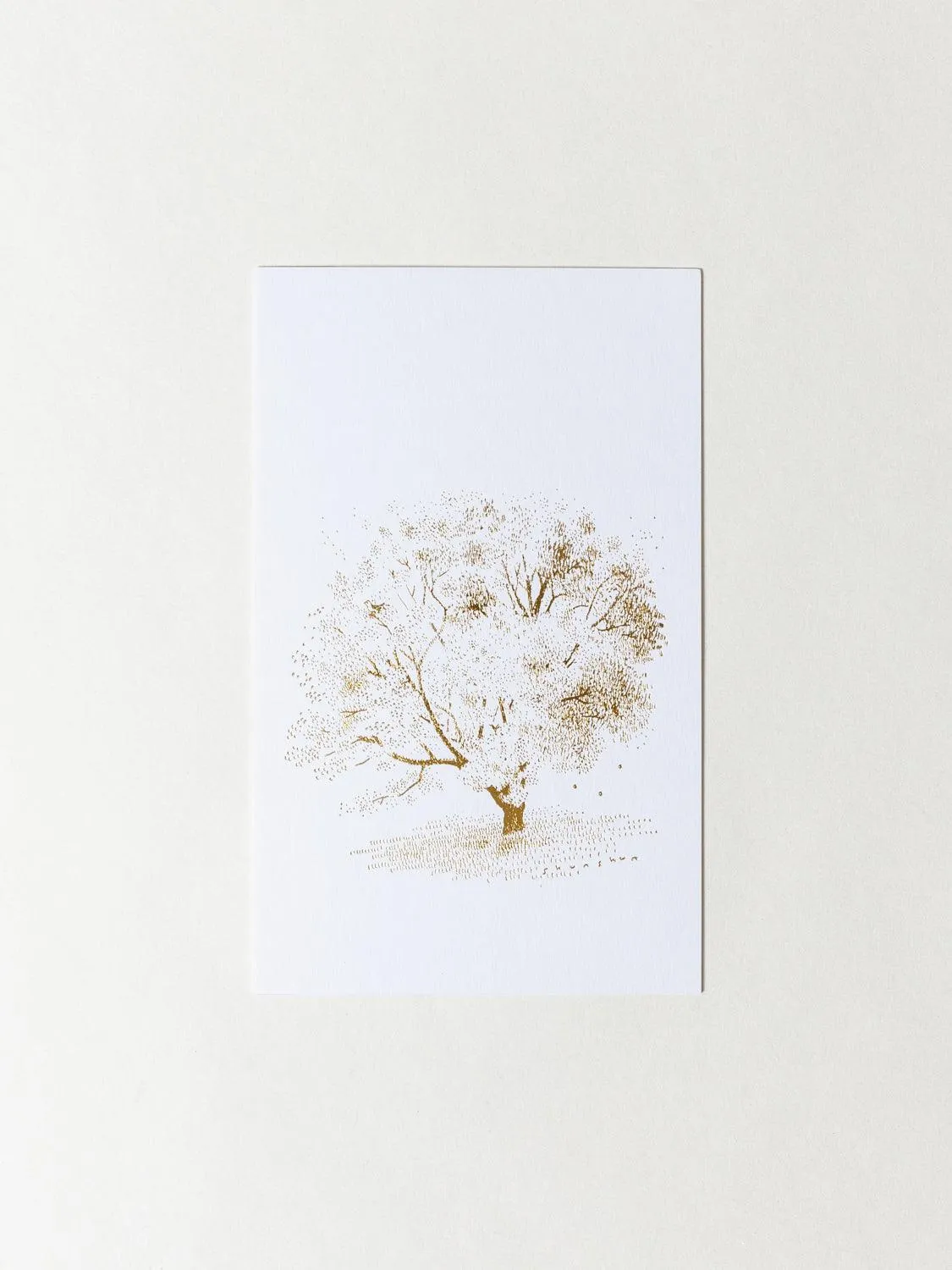 Shunshun Postcard - Shining Tree