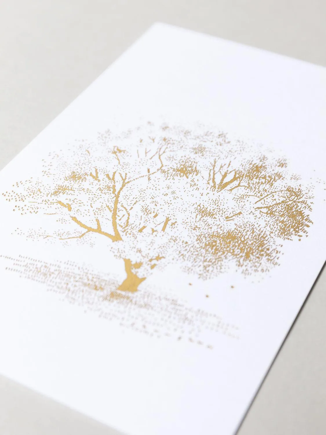 Shunshun Postcard - Shining Tree