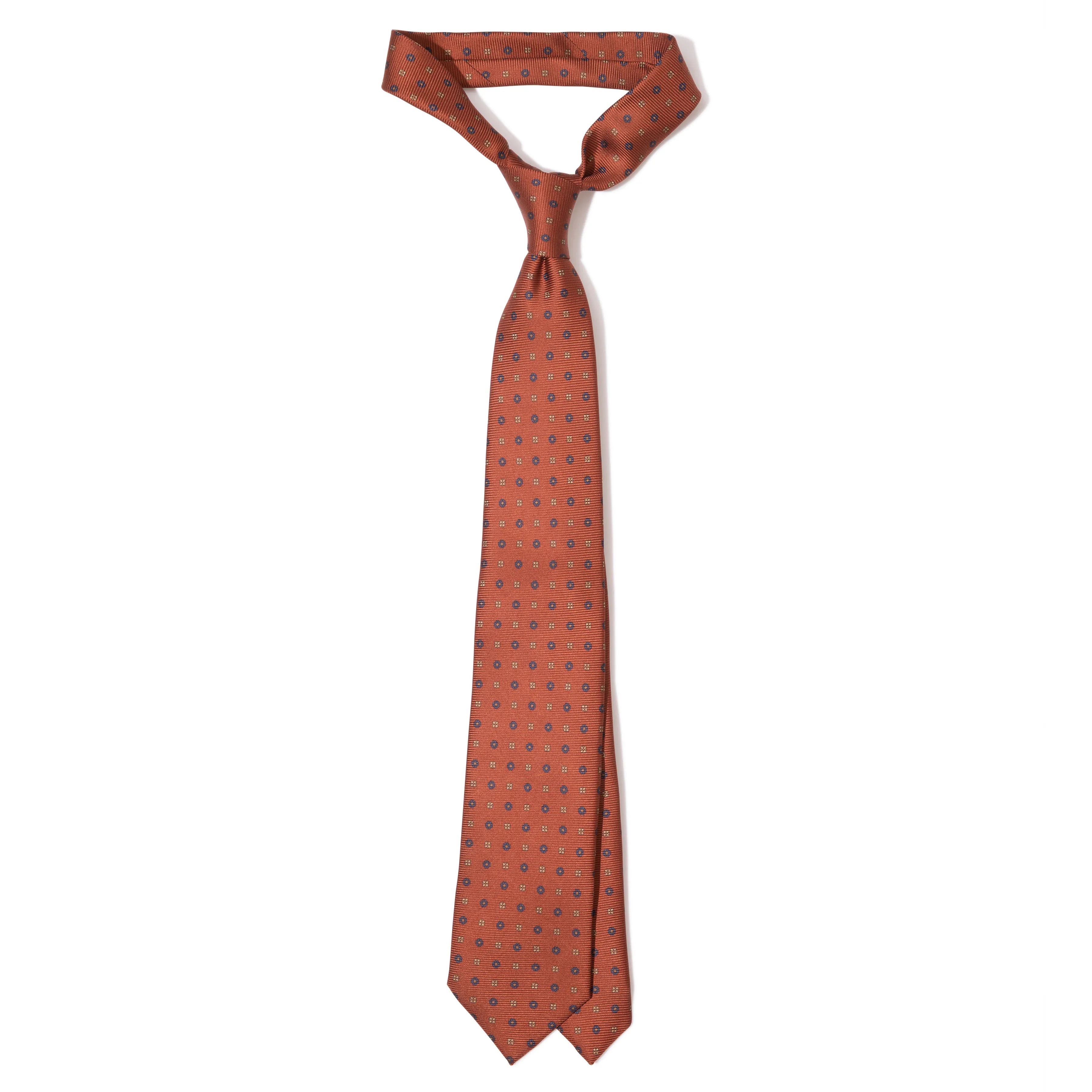 Silk Saglia Print Tipped Tie