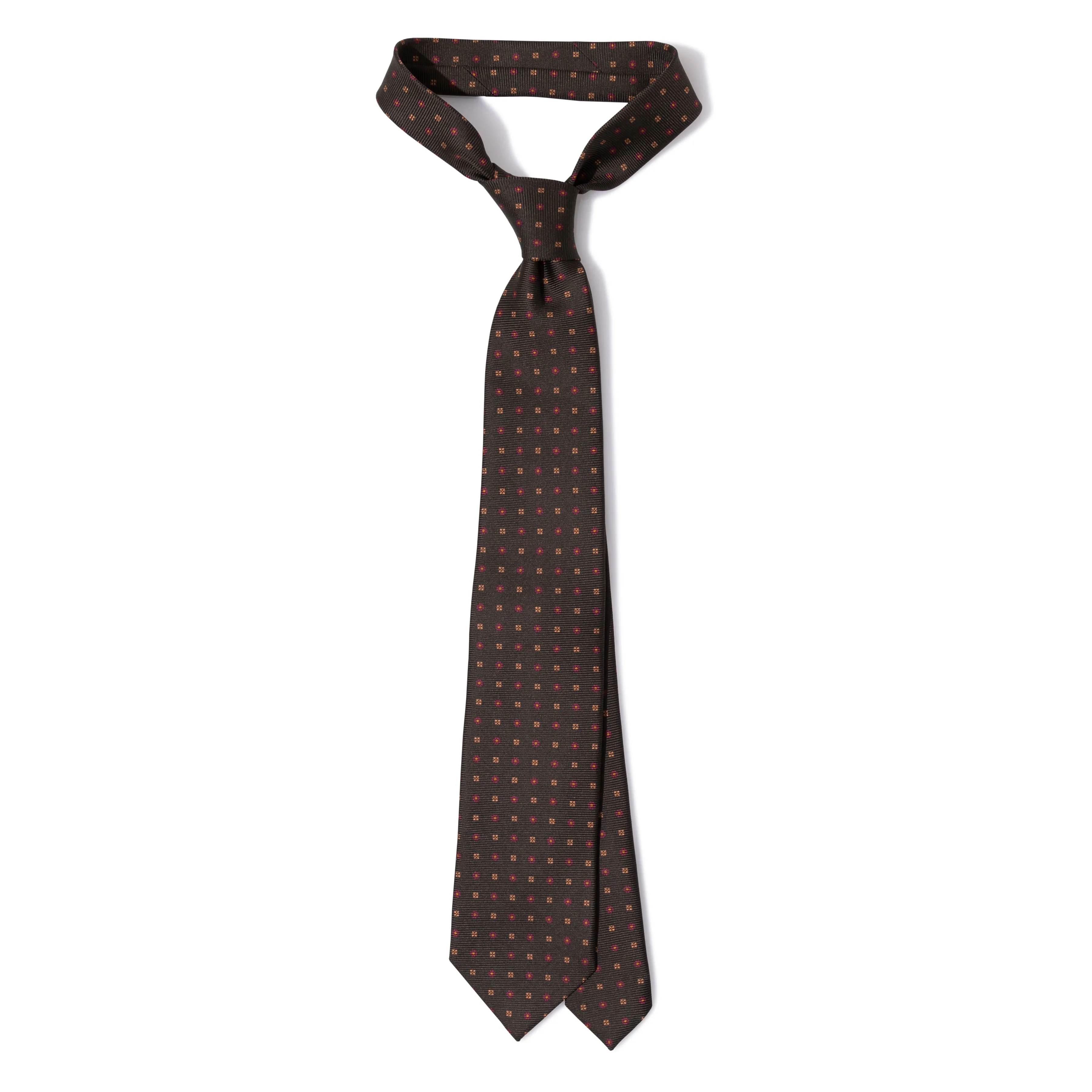 Silk Saglia Print Tipped Tie